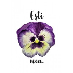 Magnet:  Ești panseluța mea 