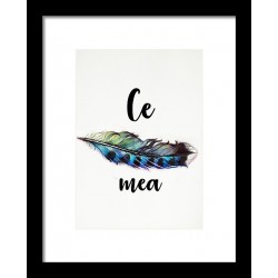 Tablou: Ce pana mea  PRINT