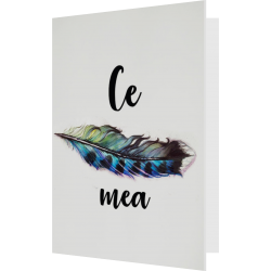 Felicitare:Ce pana mea