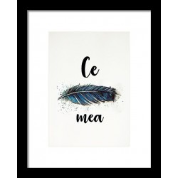 Tablou: Ce pana mea  PRINT