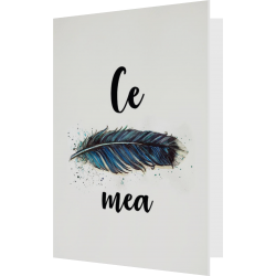 Felicitare:Ce pana mea