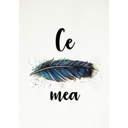 Felicitare:Ce pana mea