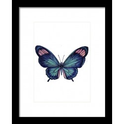 Tablou: Fluture PRINT