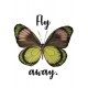 Felicitare: Fly away