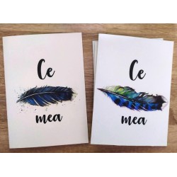 Felicitare:Ce pana mea