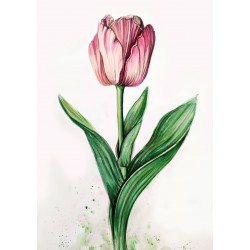 Tablou: O lalea pentru tine