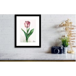 Tablou: O lalea pentru tine PRINT